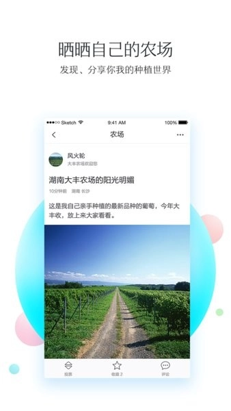 我会种weplant图3