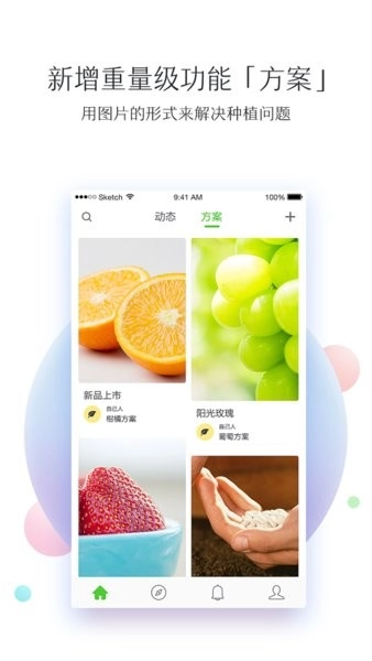 我会种weplant图4