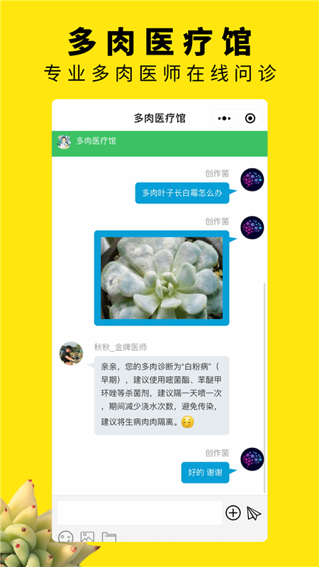多肉圈安卓版图2