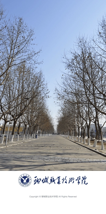 聊城职业技术学院图3