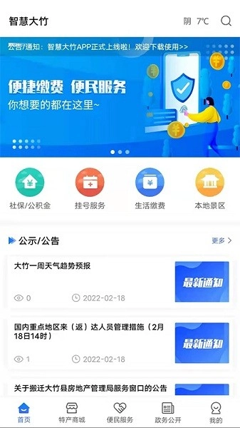 智慧大竹图3