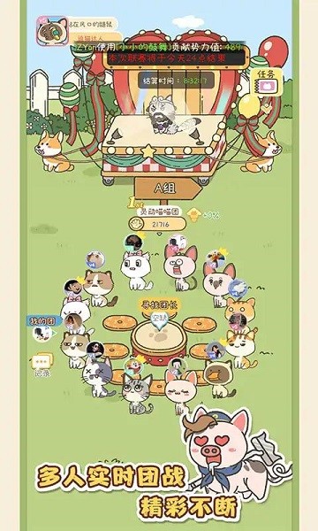 找下猫小游戏最新版图4