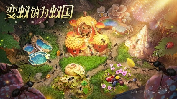 37小小蚁国图1