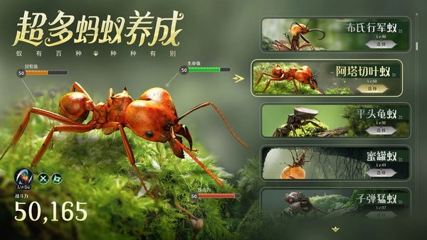 37小小蚁国图2