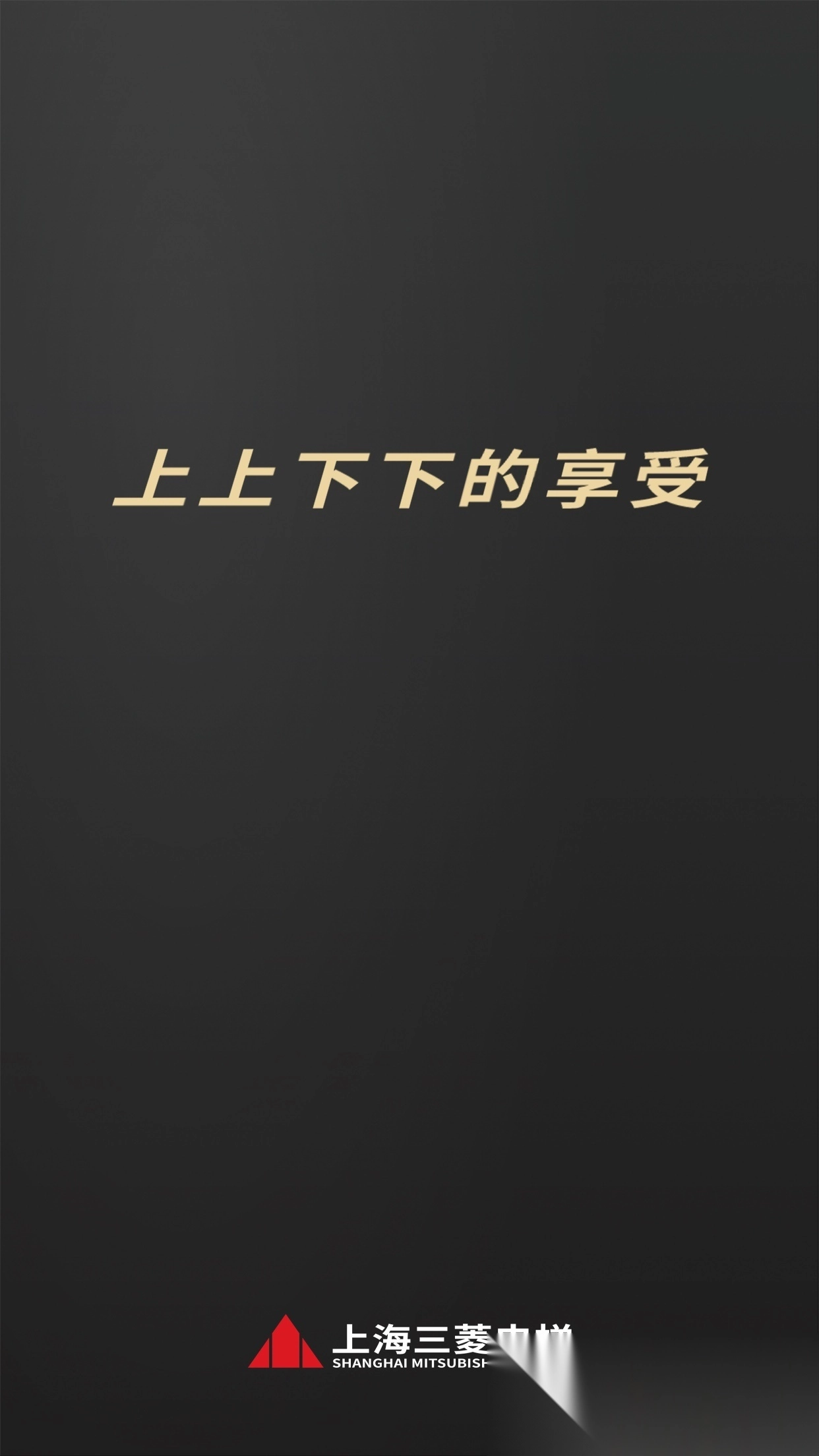 菱菱用梯图4