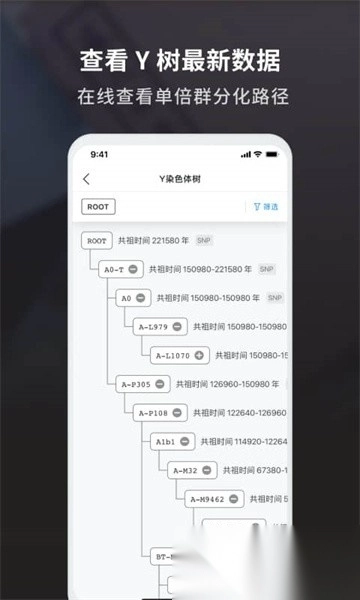 魔方祖源软件图5