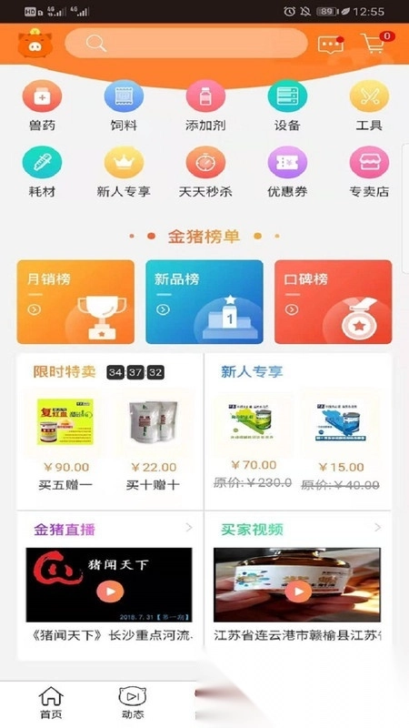 金猪图1