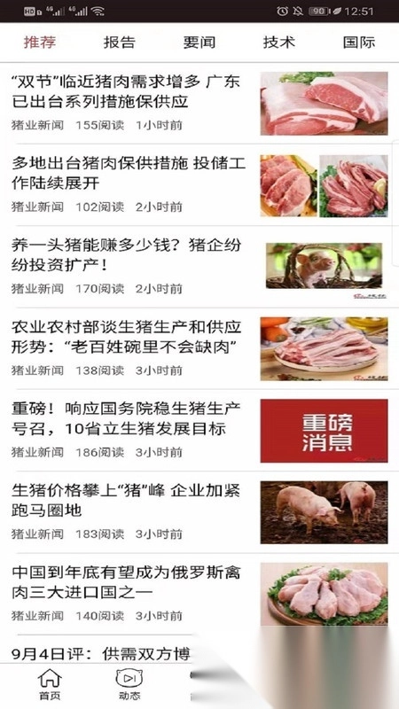 金猪图2
