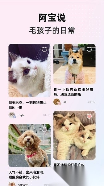 阿宝说手机版图4