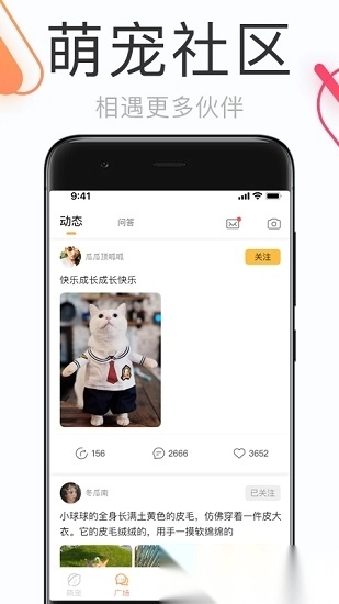 铲屎官的日常图1