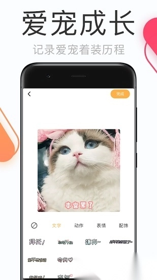 铲屎官的日常图3