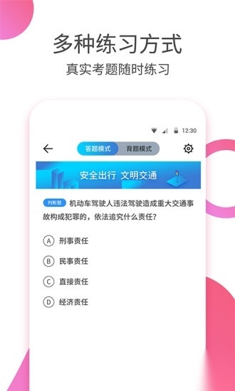 驾考大师通用版图2