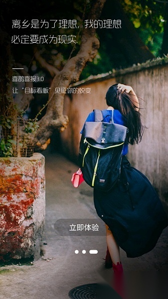 喜鹊喜报pro直装版图3
