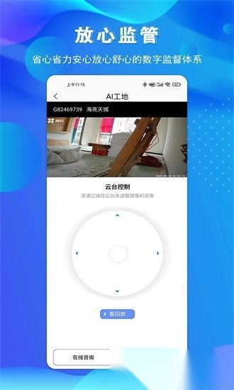 金孔雀家图4