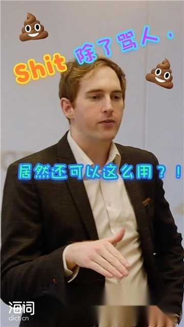 海词词典安卓11版截图1