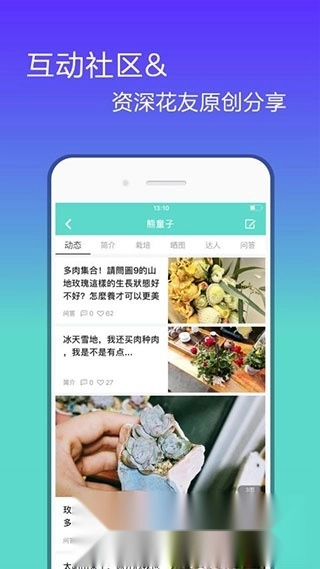 花信(花卉种植知识大全)图2
