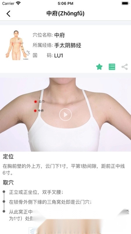 经络穴位图解手机版1