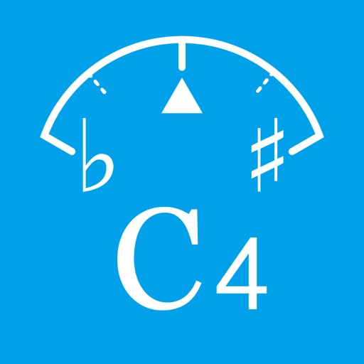 乐器调音器安装