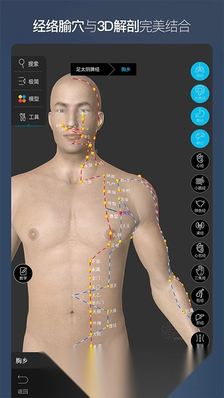 维萨里3D解剖免费安卓版图1