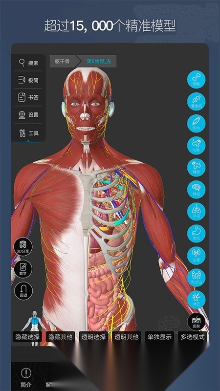 维萨里3D解剖免费安卓版图5