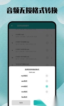 格式转换大师(格式转换宝)图1