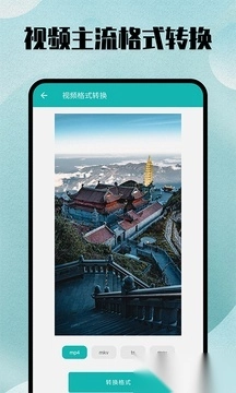 格式转换大师(格式转换宝)图4