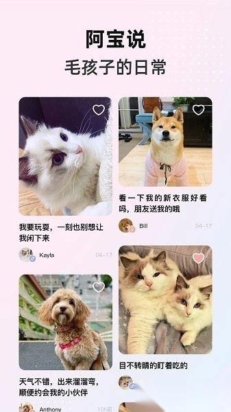 阿宝说官方正版图4