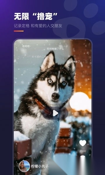 趣爪印最新版图3