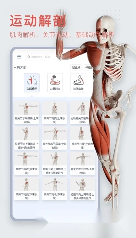 3Dbody解剖图手机版图2