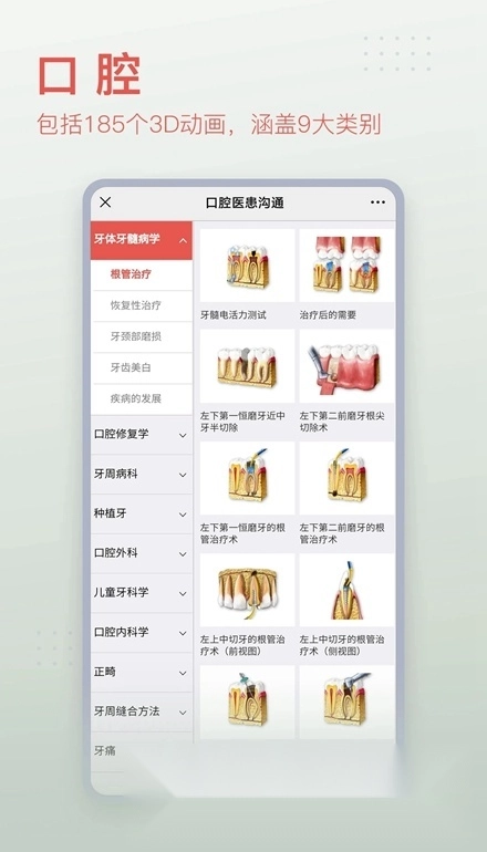 3Dbody解剖图手机版图4