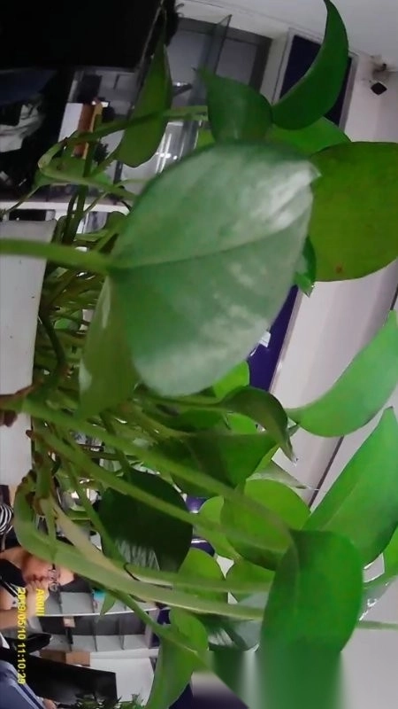 GACT-DVR行车记录仪最新版图3