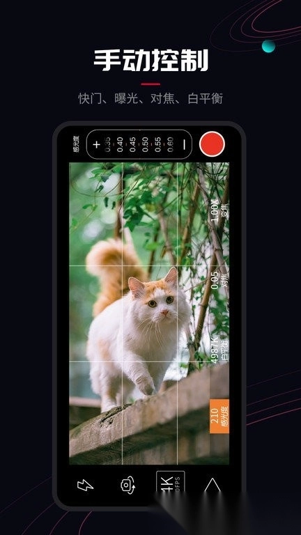 promovie华为手机版截图4