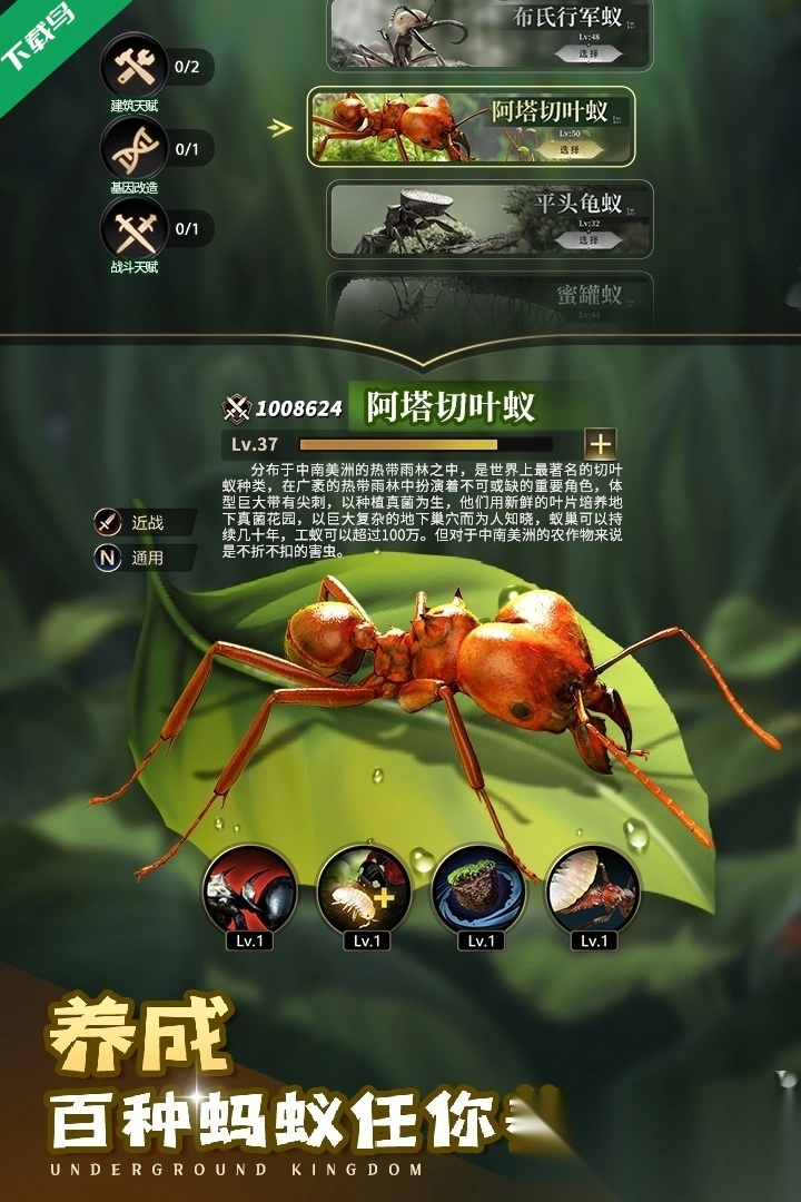 小小蚁国九游客户端图1