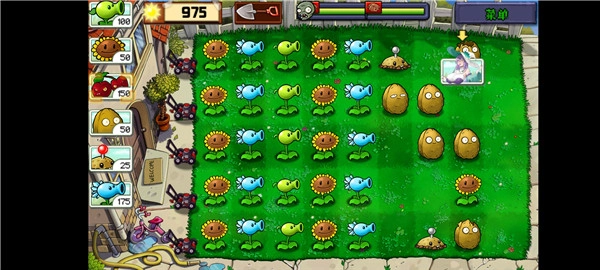 植物娘大战僵尸庄不纯版图4