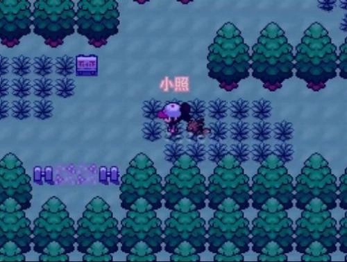 口袋妖怪零维E界菜单(2)