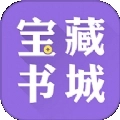 宝藏书城