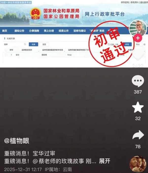 以二舅“宝华”之名命名的月季品种，已顺利通过初审！当事人表示，打算在过年时把这个好消息告诉二舅。
