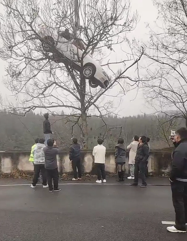 绝非AI生成！一辆轿车卡在大树上，车内有人被困
