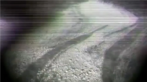 后室精神病(BackRooms Psycho)