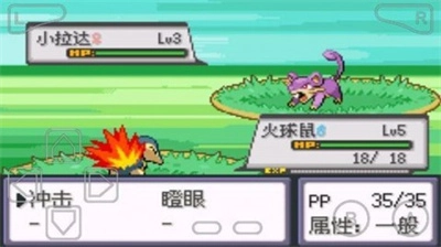 口袋妖怪暗黑银神兽