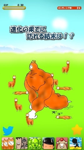 兄贵羊驼(Alpaca)(2)