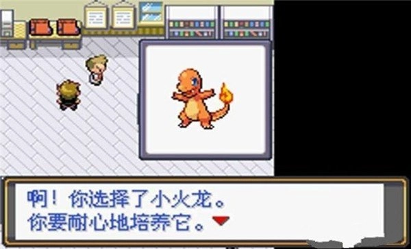 口袋妖怪最后的火红通用版图2