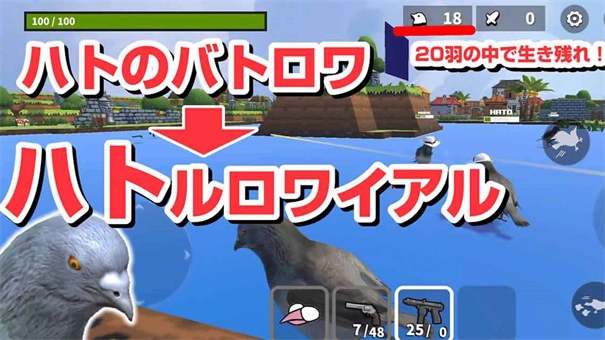 鸽子大逃杀(ハトルロワイアル)