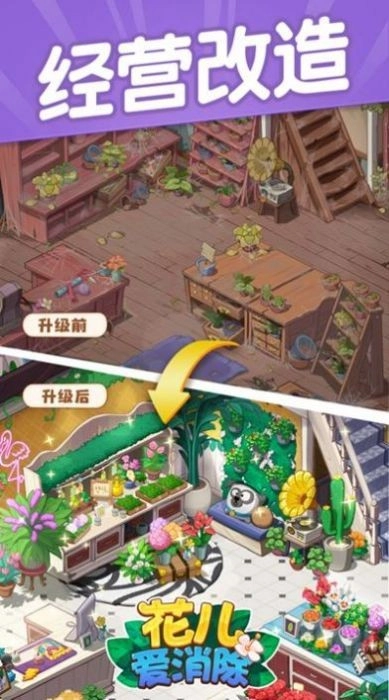 花儿点点消-图2