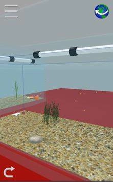 饲养孔雀鱼(My Guppy)图2