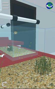 饲养孔雀鱼(My Guppy)图3