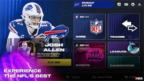 麦登橄榄球25(Madden NFL)图1