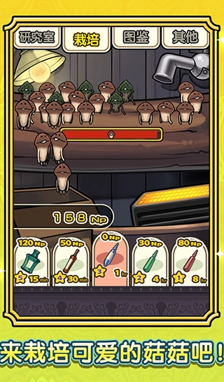 蘑菇花园(Mushroom Garden)(4)