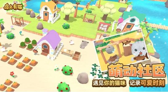 岛上有猫原版