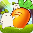 暖心小院子原版